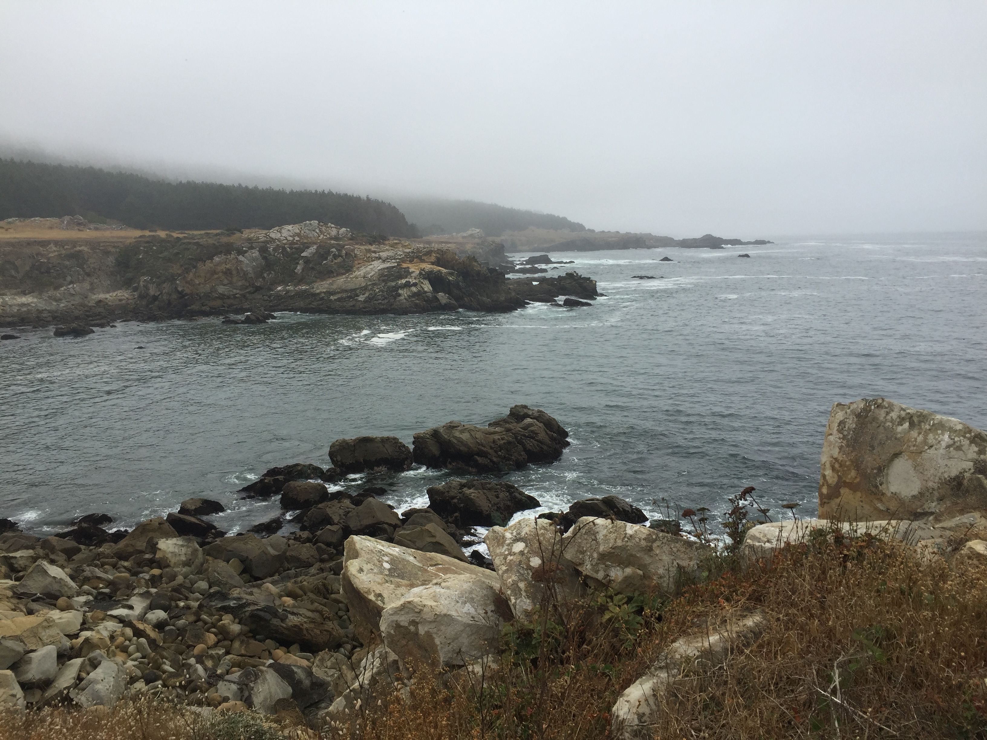 Salt Point Landing HAD thumb